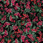 Winterberry Floral, Glistening Berries-Black Quilting Fabric