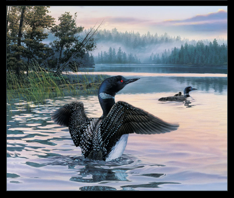 olorful landscape scene with a loon in the water by an island.