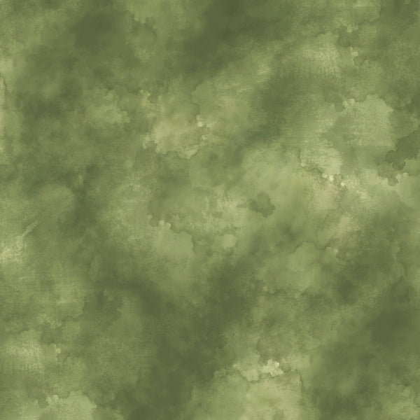 Sunkissed Quilting Fabric Collection - Green Sky Texture by Wilmington Prints