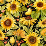 Sunflower Splendor, Sunflowers & Birds-Black Quilting Fabric