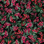 Winterberry Floral Fabric Collection by Benartex