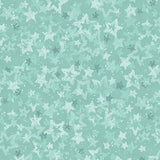 Star of Wonder - Star of Light Quilting Fabric by Nancy Halvorsen for Benartex Fabrics!