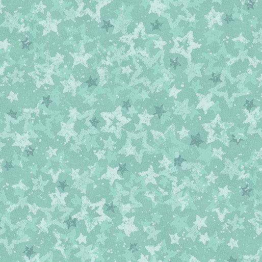 Star of Wonder - Star of Light Quilting Fabric by Nancy Halvorsen for Benartex Fabrics!