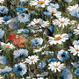 Green Meadow Whisper | 3 Wishes Fabric
