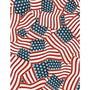 108" Patriotic Flag Fabric – "Founding Glory" Fabric by the 1/4 Yard 108"