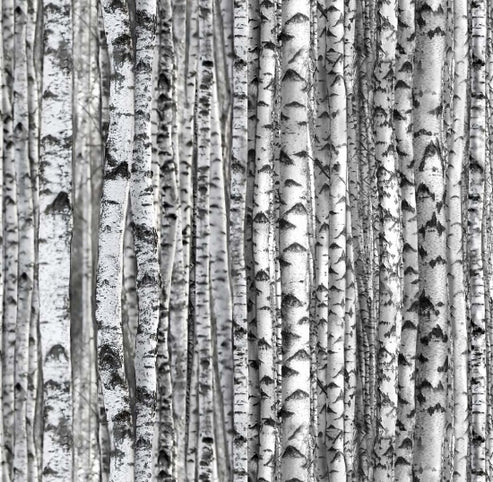 Birch Forest Gray Quilting Fabric – Landscape Medley by Elizabeth’s Studio