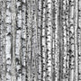 Birch Forest Gray Quilting Fabric – Landscape Medley by Elizabeth’s Studio
