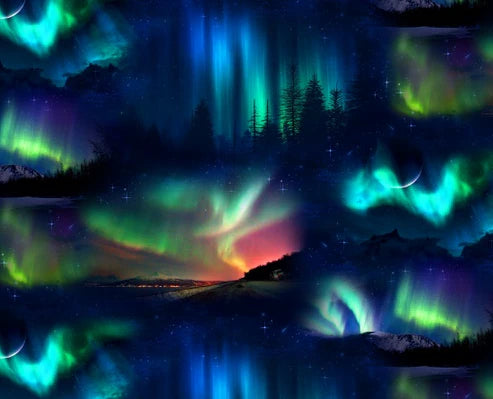 Landscape Medley Northern Forest Aurora Black quilting fabric by Elizabeth's Studio