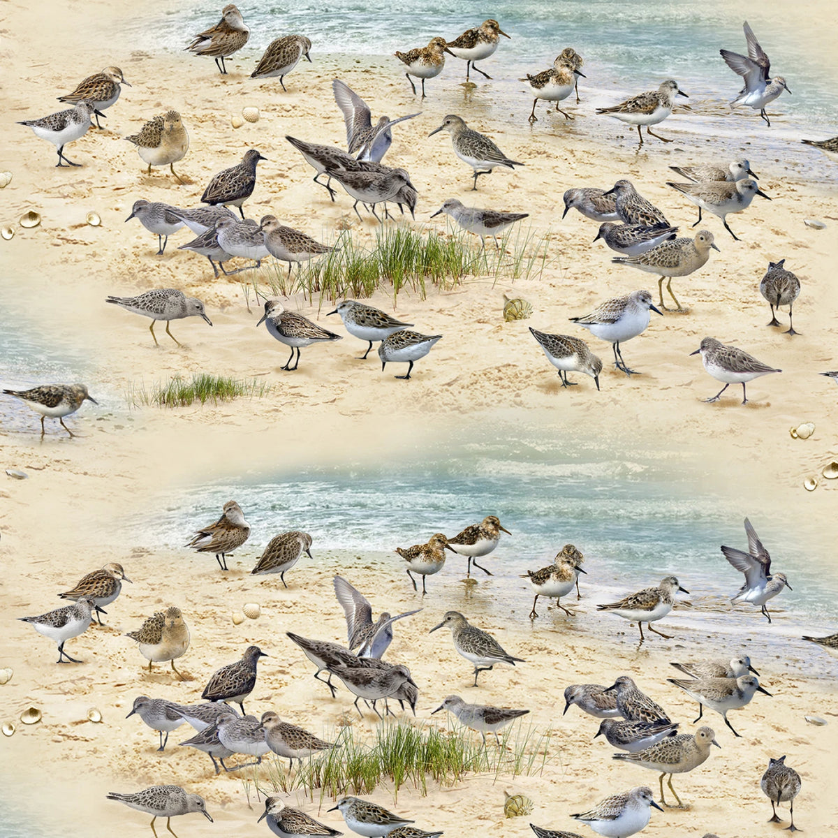 "Coastal Dreams" Quilting Fabric by the 1/4 yard