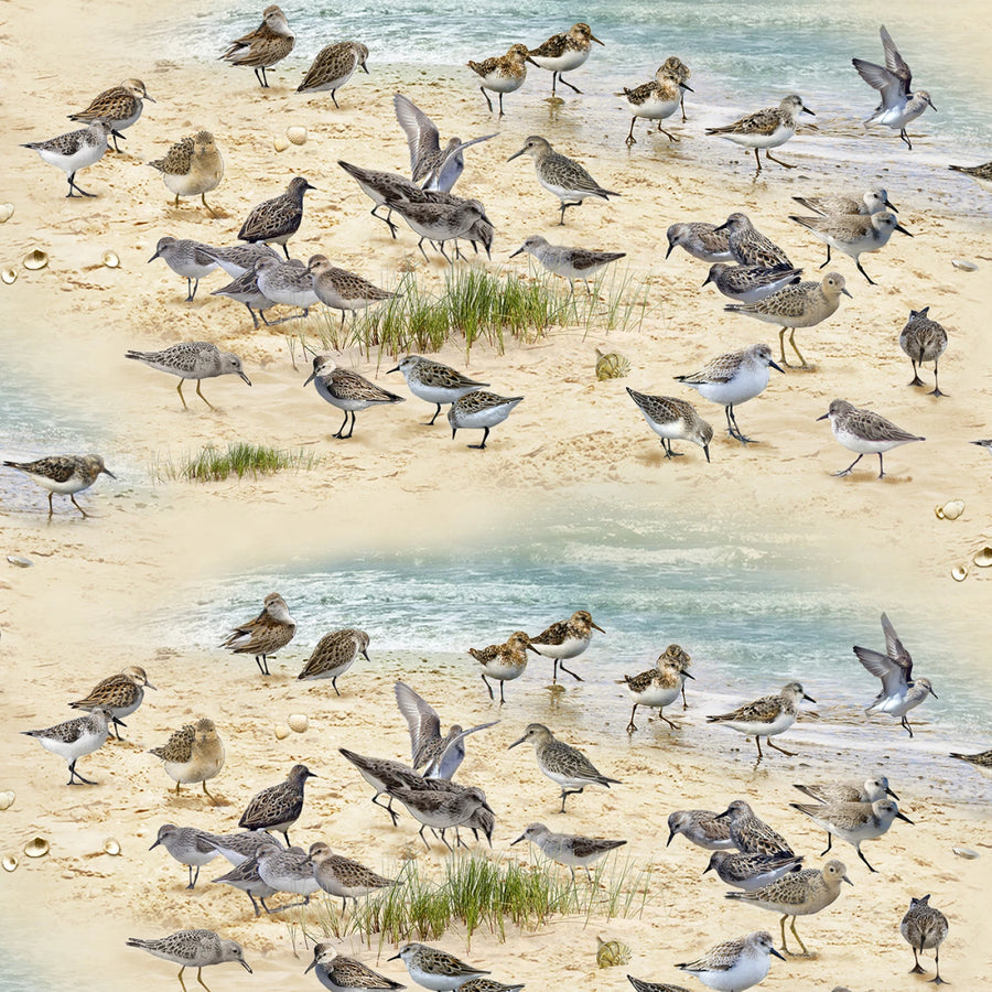 "Coastal Dreams" Quilting Fabric by the 1/4 yard by Elizabeths Studio