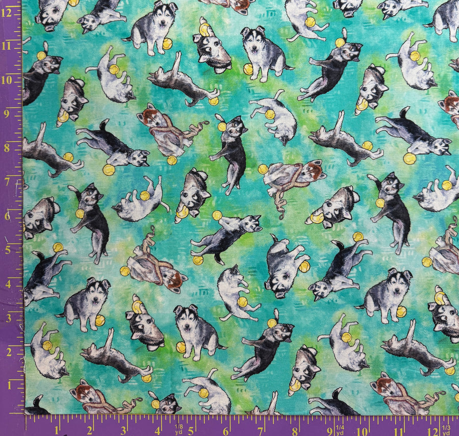 Silly Siberians – Playful Puppies Quilting Fabric by the 1/4 Yard by Timeless Treasures