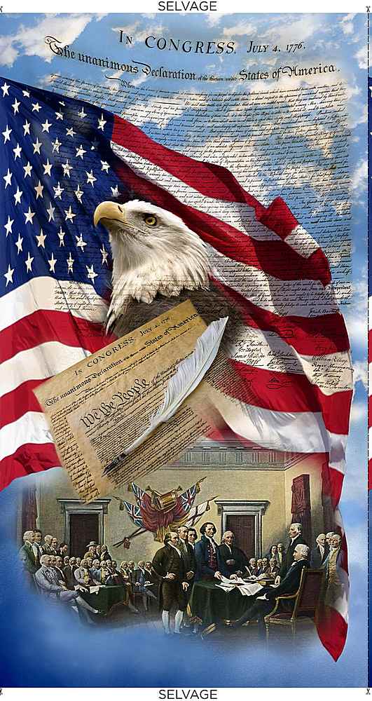 We the People Panel – Timeless Treasures Patriotic Quilting Fabric