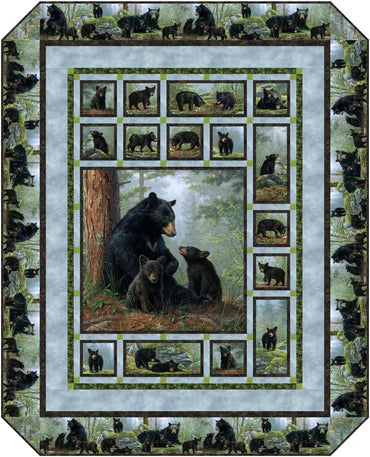 Bear Hugs Quilt Kit by Patti Carey