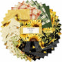 Sunflower Splendor - 5" Charm Pack Quilting Fabric Precuts