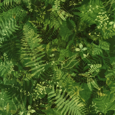 Twilight Terrace "Fern Ferns" - Fabric by the 1/4 yard by Robert Kaufman