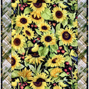  Sunflower Plaid