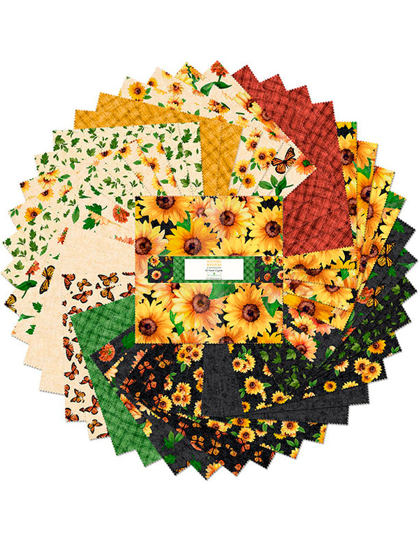 "Made the Grade" Quilt Kit - 63.5" x 80.5" – featuring "Sunshine Whispers" by Wilmington Prints