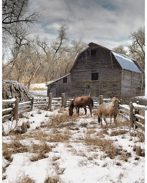 Winterwind Stables-"Pasture" Panel – by Hoffman Fabrics fabric panel