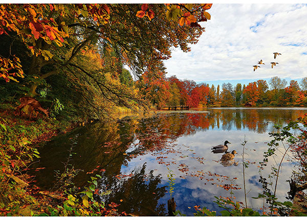 On the Path to Fall-"Lake" Panel – by Hoffman Fabrics fabric panel